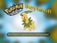 ¿Quién es ese Pokémon?/¿Cuál es este Pokémon?.