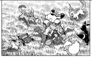 Imagen de varios Pokémon