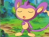 Aipom