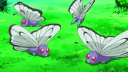 EP792 Butterfree (2).png