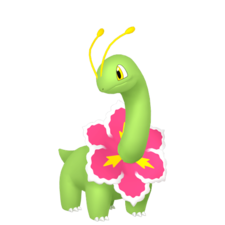 Meganium hembra