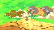 EP609 Sandslash y Tauros.jpg