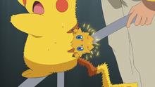 Joltik tomando electricidad de Capitán Pikachu.