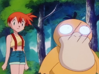 Psyduck de Misty usando confusión.