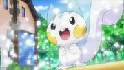 EP624 Pachirisu de Maya.png