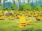 EP039 Pikachu ante la manada.png