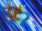 Magikarp vs. Piplup.