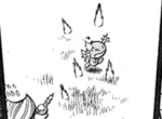 Wooper