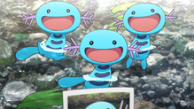 Wooper