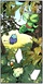 Drifloon en DTWN30-02