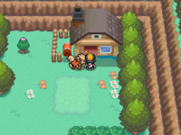 Vista exterior de la casa del señor Pokémon, en la ruta 30 (cuarta generación).