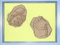 Garra fósil/Fósil garra junto a un fósil raíz/raíz fósil.
