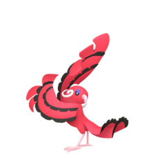Oricorio macho