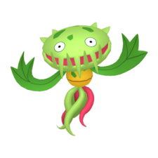 Carnivine macho