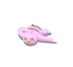 Acicalada variocolor