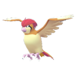 Imagen de Pidgeotto en Leyendas Pokémon: Z-A