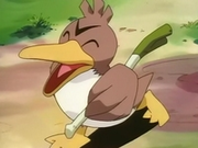 EP049 Farfetch'd (2).png