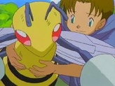 Beedrill