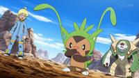 Chespin de Clemont/Lem usando látigo cepa.