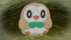 Rowlet recién nacido.