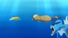 Gyarados