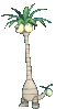 Imagen de Exeggutor de Alola en Pokémon Sol, Pokémon Luna, Pokémon Ultrasol y Pokémon Ultraluna