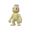 Imagen de Machop variocolor en Leyendas Pokémon: Z-A