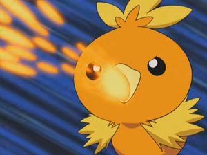 Torchic usando ascuas.