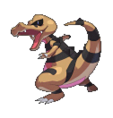 Krokorok