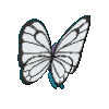 Imagen posterior de Butterfree macho en Pokémon X, Pokémon Y, Pokémon Rubí Omega, Pokémon Zafiro Alfa, Pokémon Sol, Pokémon Luna, Pokémon Ultrasol y Pokémon Ultraluna