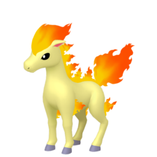 Ponyta macho