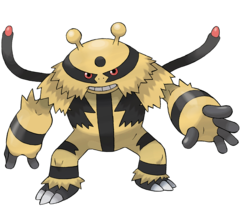 Electrizador - WikiDex, la enciclopedia Pokémon