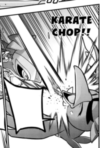 Hawlucha de Bea/Hawlucha de Judith usando golpe kárate en el PV011.