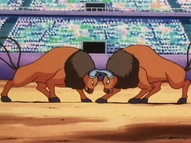 Tauros usando derribo.