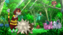 Zigzagoon
