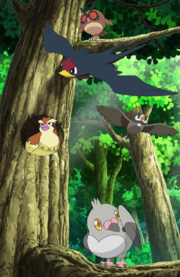 EP804 Pájaros Pokémon.png