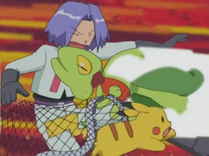 Treecko usando ataque rápido.