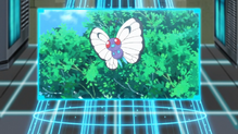Butterfree