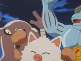 Primeape