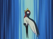 EP313 Taillow.jpg