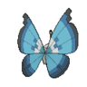 Vivillon marino