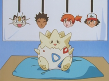 ◓ Anime Pokémon  Liga Índigo T1EP50: Quem vai ficar com Togepi