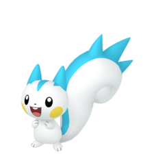 Pachirisu macho