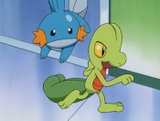 Imagen de Treecko