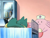 Munchlax