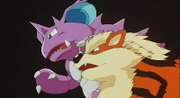 P01 Arcanine.png