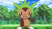 EP898 Chespin de Lem.png