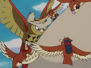 Noctowl usando picotazo.