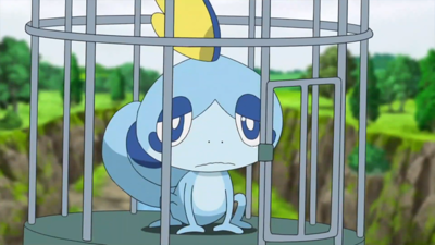 EP1117: ¡Sobble, el llorica!/¡El sollozante Sobble! - WikiDex, la ...