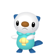 Oshawott macho